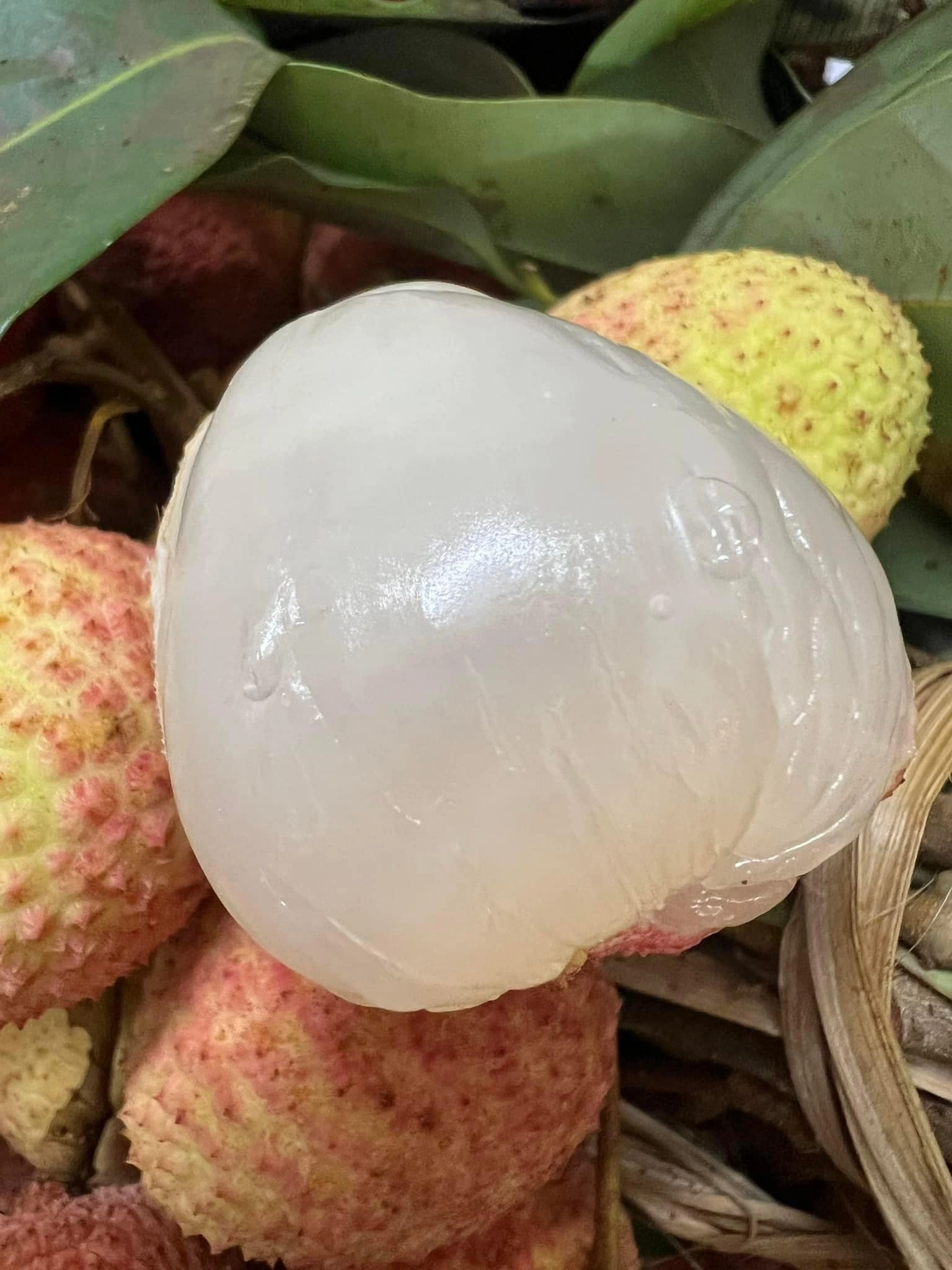 Vải u hồng là vải gì? Cách phân biệt vải u hồng với vải u trứng
