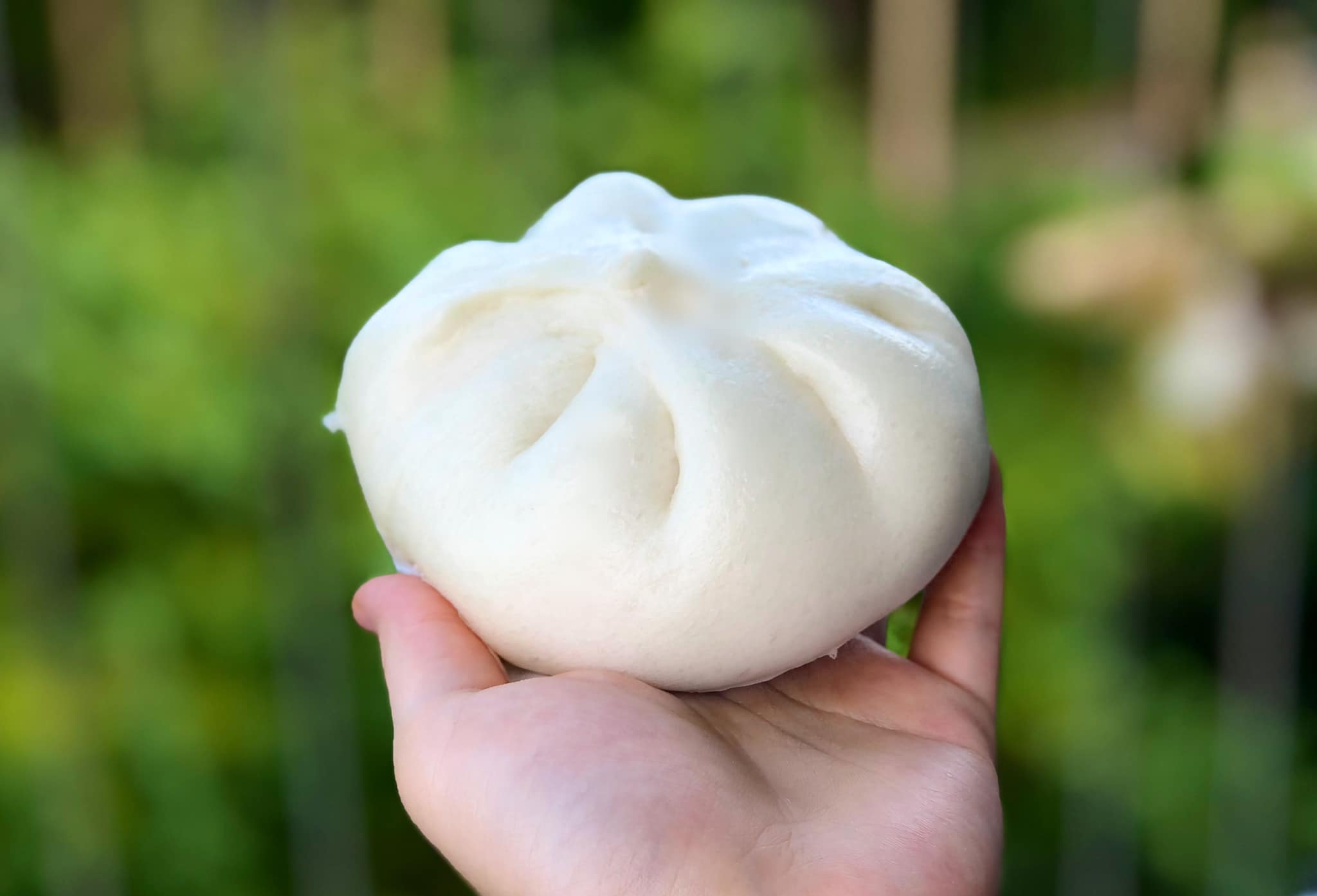 Cách làm bánh bao men biga thơm ngon mềm mịn như tiệm