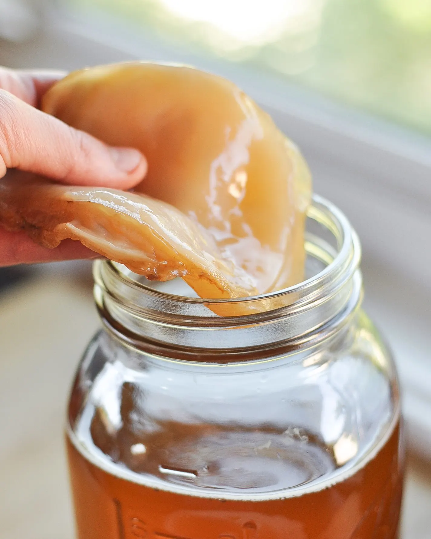 Hướng dẫn cách làm trà kombucha giảm cân tại nhà