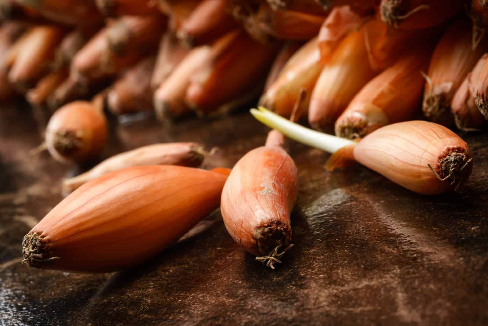 Hành tím mọc mầm có ăn được không?