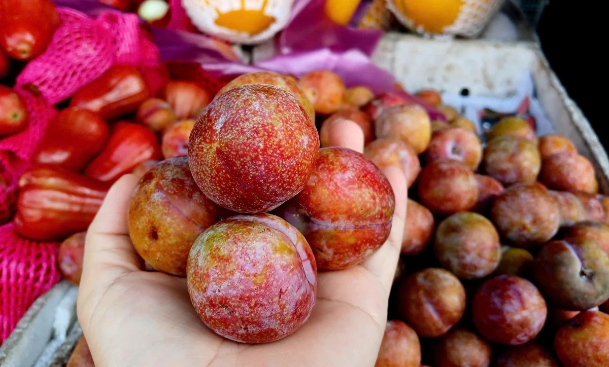 Cách bảo quản mận trong tủ lạnh để giữ được độ giòn và vị ngọt lâu hơn