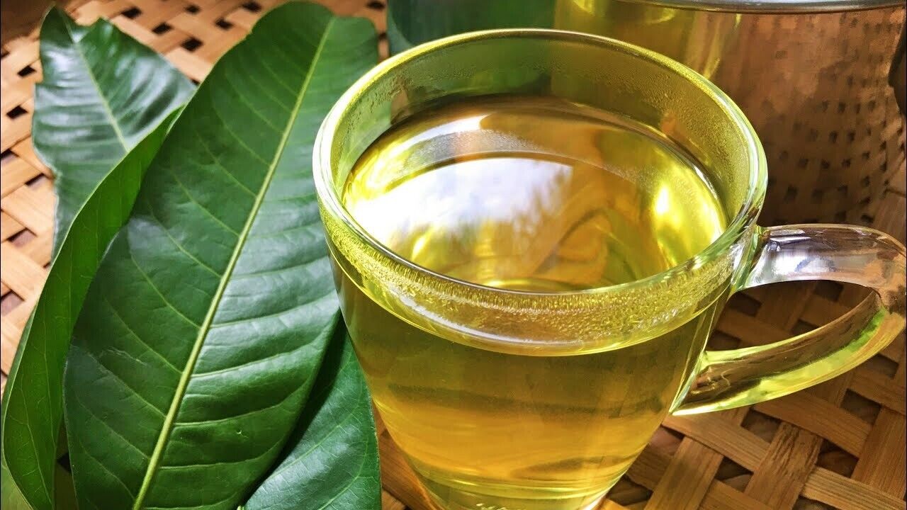 Công dụng của lá xoài là gì? Cách uống nước lá xoài tăng cường sức khỏe