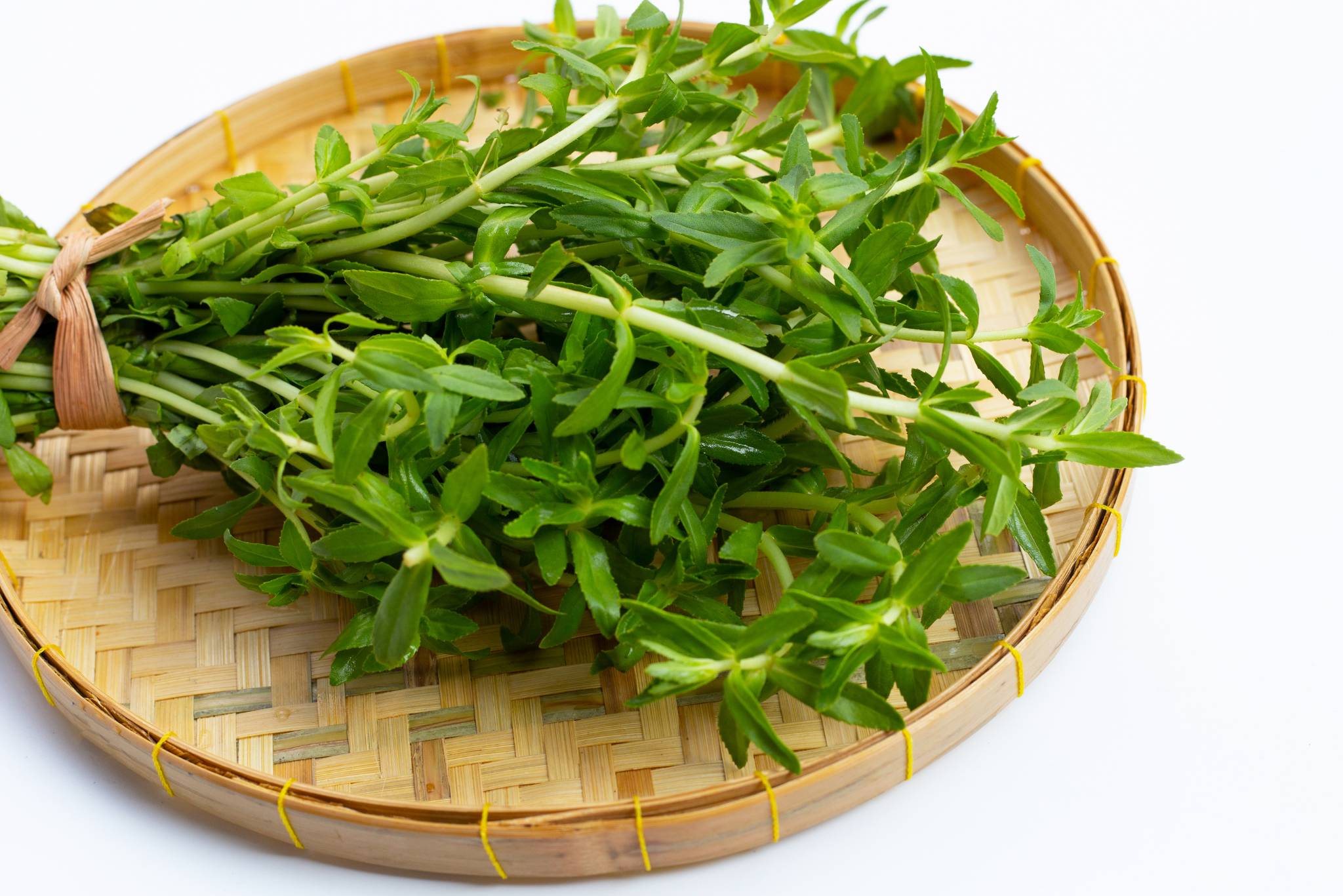 Rau ngổ có tác dụng gì? Nước ép rau ngổ có tác dụng gì trong làm đẹp?