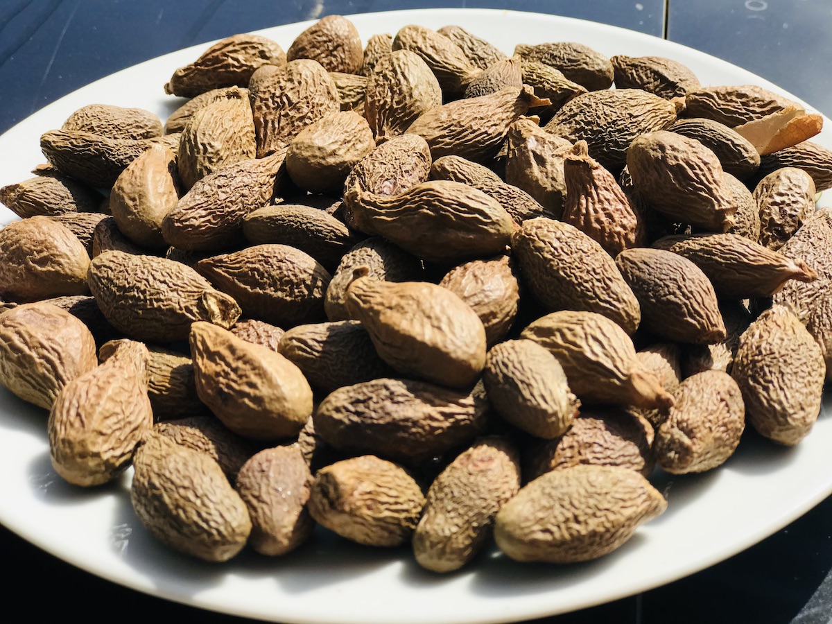 Trái ươi có tác dụng gì?