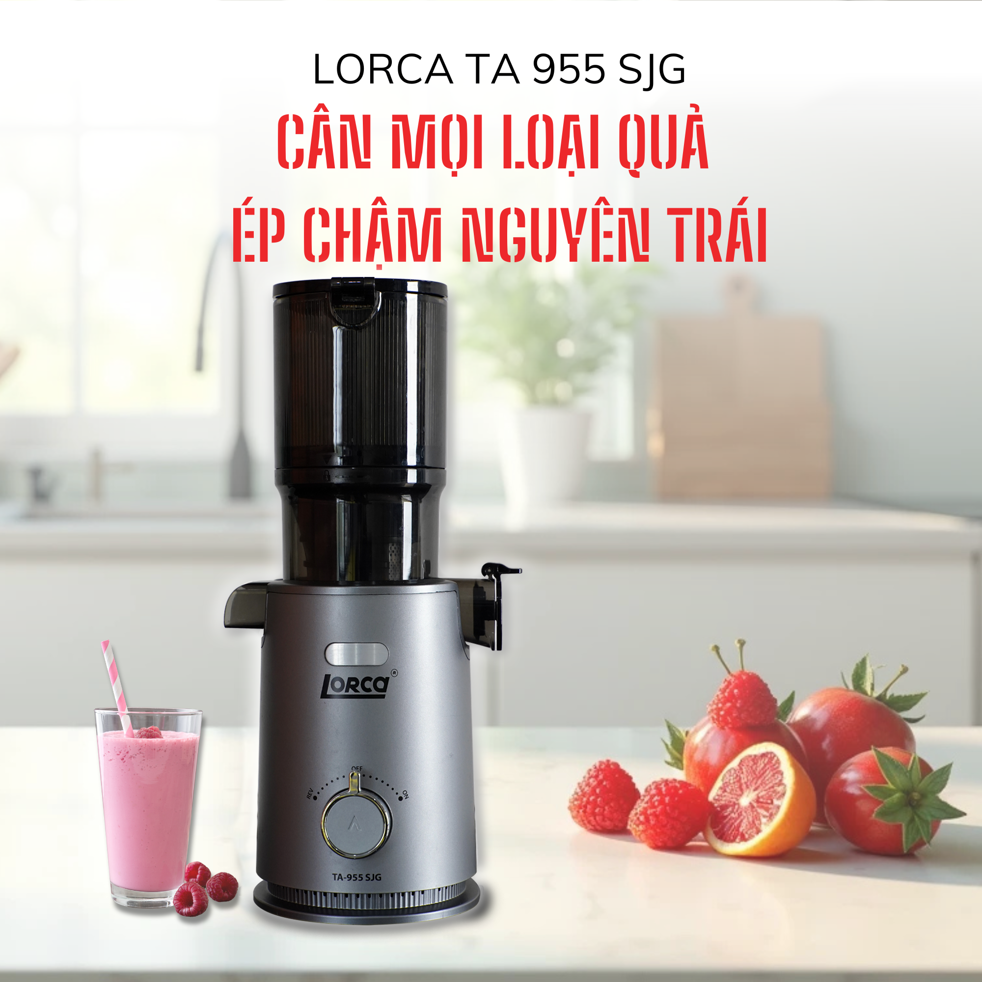 Top 3 Mẫu Máy Ép Trái Cây Chậm Được Ưa Chuộng Hiện Nay